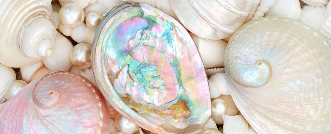 Mother of Pearl Everything You Need to know