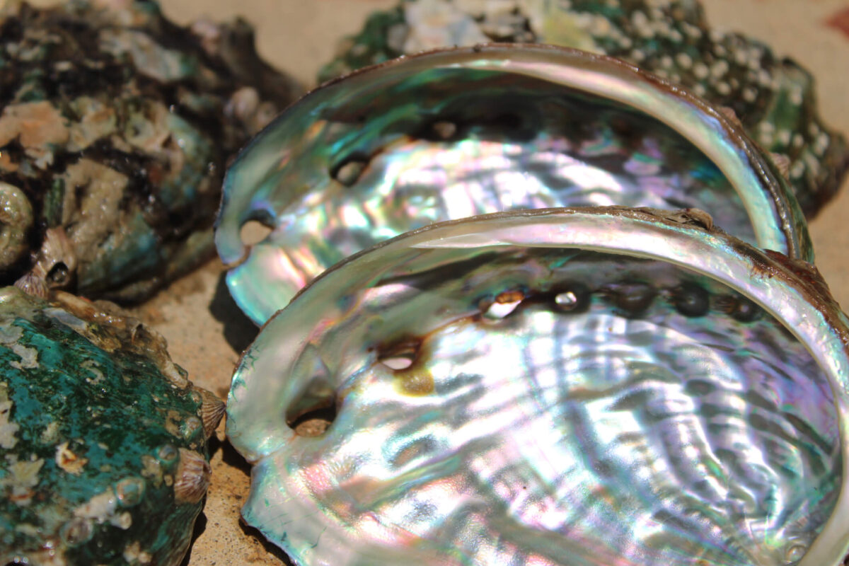 the luster of mother of pearl